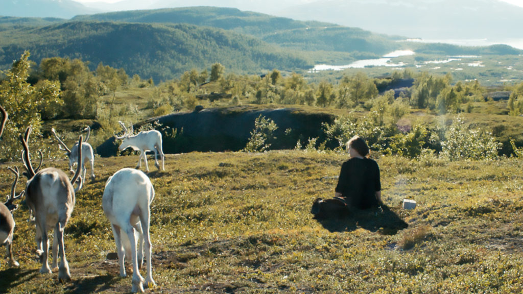 LifTe北欧の暮らし 北欧映画 映画 サーミの血 ノルウェー スウェーデン フィンランド サーミ サーミ族