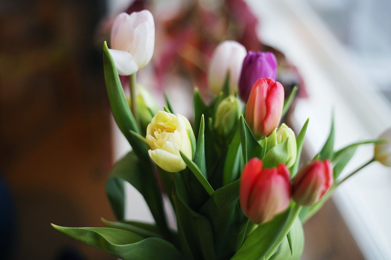 フィンランドのバレンタイデー事情って知ってる？ | LifTe 北欧の暮らし 