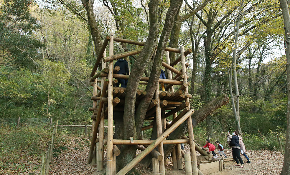 LifTe北欧の暮らし 埼玉県飯能市にあるトーベ・ヤンソンあけぼの子どもの森公園の敷地内 