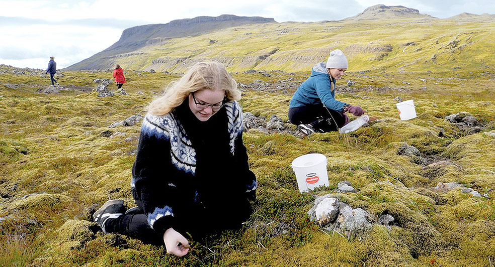 LifTe 北欧の暮らし アイスランド 映画 主婦の学校 男女平等 ジェンダー SDGS