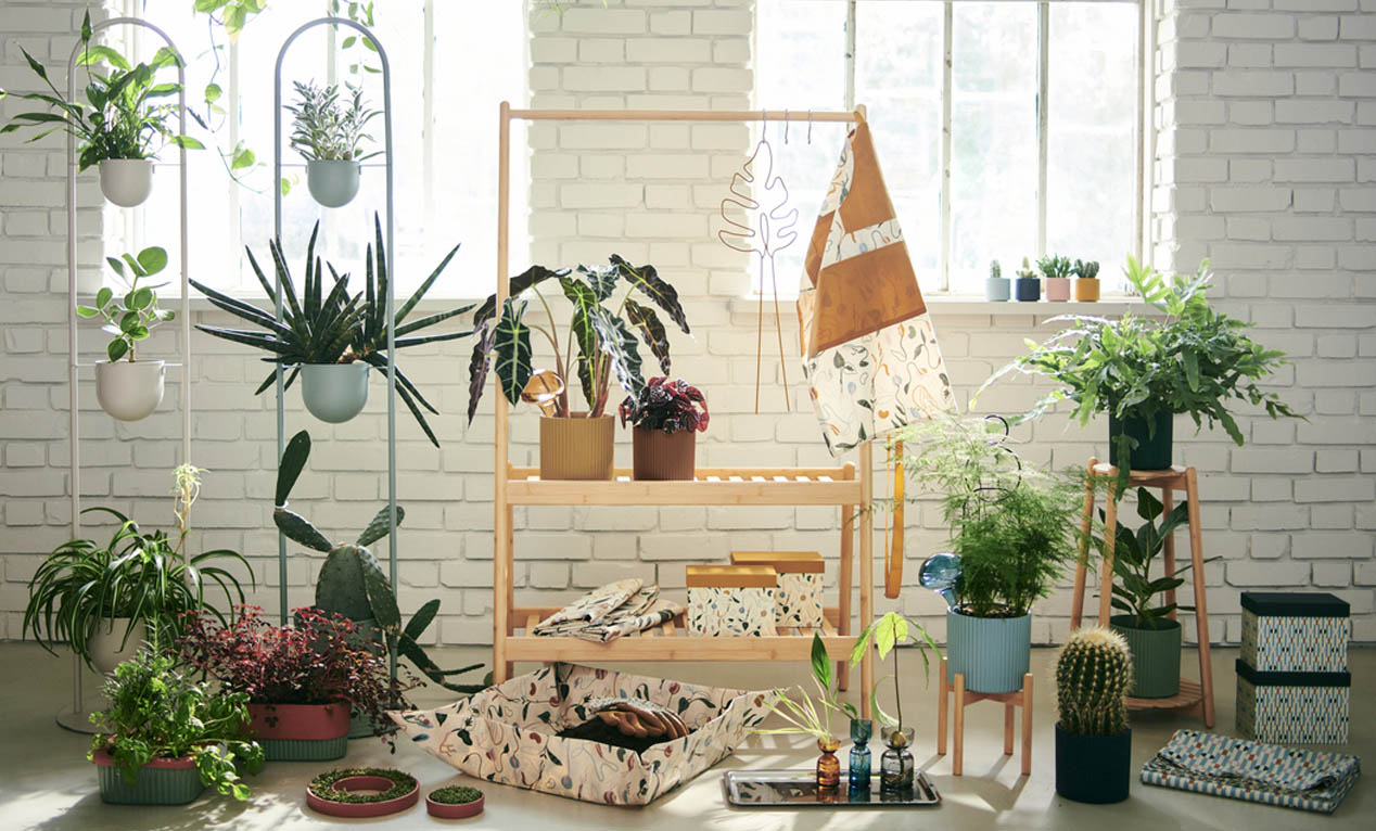 お部屋にグリーンを手軽に取り入れよう！イケア「DAKSJUS/ダクシュース