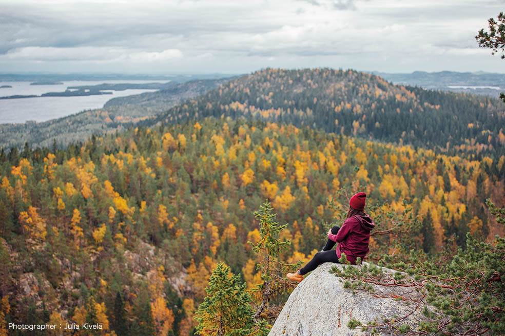 LifTe北欧の暮らし フィンランドの大自然 森と湖