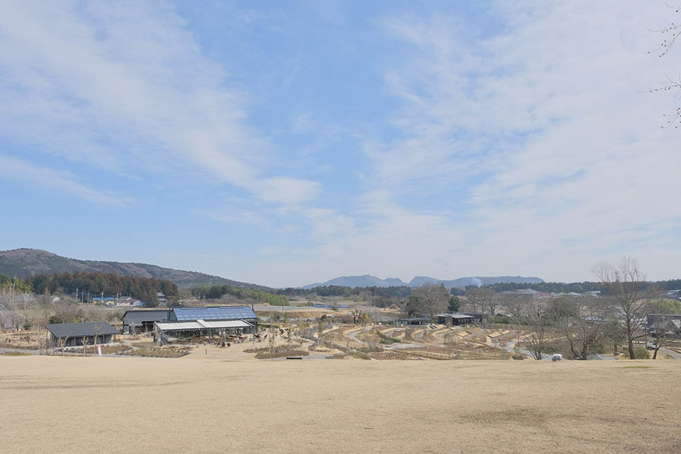 LifTe北欧の暮らし 茨城県石岡市にあるいばらきフラワーパークで2月1日、2日に開催されるペットフレンドリーデイズ ドッグラン グリーンヒル