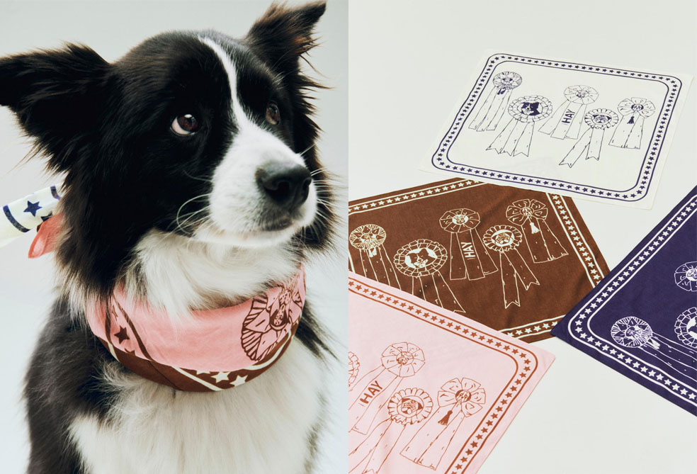 LifTe北欧の暮らし デンマークのHAYから登場した犬用アイテム「HAY DOGS」のDOGS SCARF