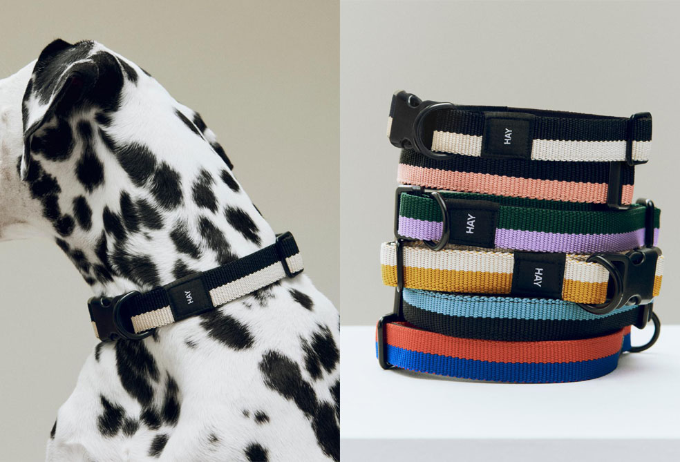 LifTe北欧の暮らし デンマークのHAYから登場した犬用アイテム「HAY DOGS」のDOGS COLLER FLAT