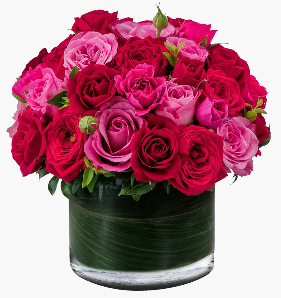 LifTe北欧の暮らし デンマーク出身のフラワーアーティスト ニコライ・バーグマンが手がける「ニコライ バーグマン & フラワー デザイン」の2025オータムコレクションで展開される Fascination Rosess ファシネイション ロージズ