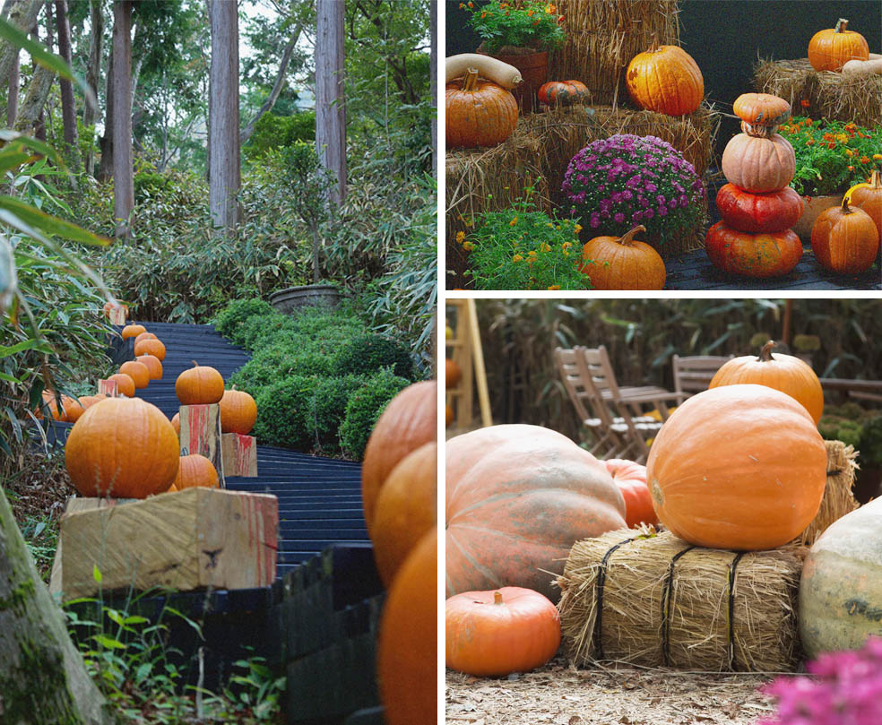 LifTe北欧の暮らし デンマーク出身のフラワーアーティスト ニコライ・バーグマンが手がける「ニコライ バーグマン 箱根 ガーデンズ」で11月4日まで開催されているハロウィンイベント