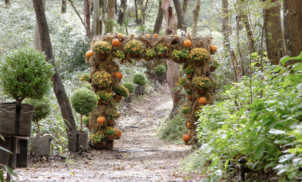 LifTe北欧の暮らし 2025年の年間人気記事 デンマーク出身のフラワーアーティスト ニコライ・バーグマンが手掛ける箱根のニコライバーグマンフラワーガーデンズ箱根のハロウィン記事が9位