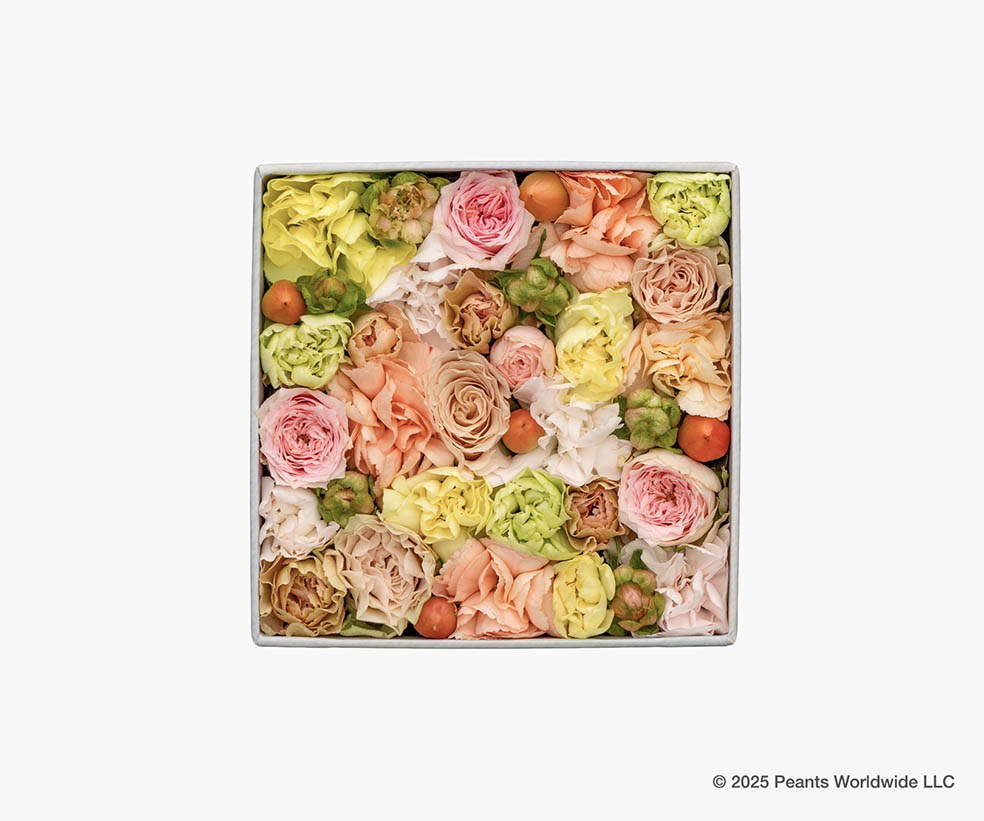 LifTe北欧の暮らし デンマーク出身のフラワーアーティスト ニコライ・バーグマンがフラワーボックス誕生25周年を記念して 今年75周年を迎えるピーナッツ(スヌーピー)とコラボしたアイテム「Nicolai Bergmann meets PEANUTS」のフレッシュフラワーボックス Imaginary White イマジナリー ホワイト