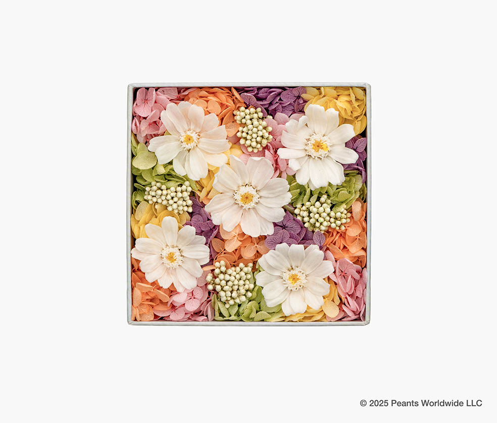 LifTe北欧の暮らし デンマーク出身のフラワーアーティスト ニコライ・バーグマンがフラワーボックス誕生25周年を記念して 今年75周年を迎えるピーナッツ(スヌーピー)とコラボしたアイテム「Nicolai Bergmann meets PEANUTS」のプリザーブドフラワーボックス Imaginary White イマジナリー ホワイト