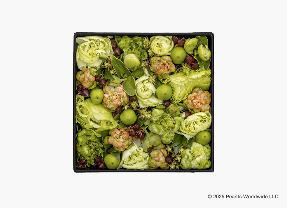 LifTe北欧の暮らし デンマーク出身のフラワーアーティスト ニコライ・バーグマンがフラワーボックス誕生25周年を記念して 今年75周年を迎えるピーナッツ(スヌーピー)とコラボしたアイテム「Nicolai Bergmann meets PEANUTS」のフレッシュフラワーボックス Journey Black ジャーニー ブラック