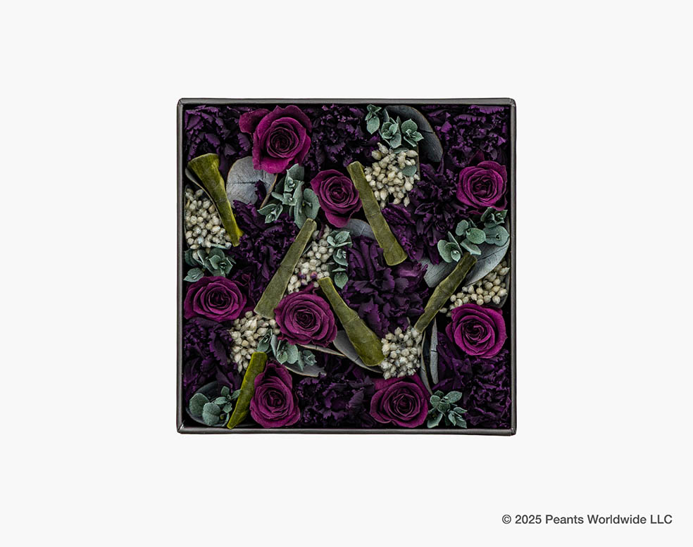 LifTe北欧の暮らし デンマーク出身のフラワーアーティスト ニコライ・バーグマンがフラワーボックス誕生25周年を記念して 今年75周年を迎えるピーナッツ(スヌーピー)とコラボしたアイテム「Nicolai Bergmann meets PEANUTS」のプリザーブドフラワーボックス Journey Black ジャーニー ブラック