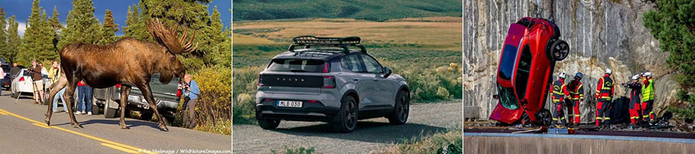 LifTe北欧の暮らし 埼玉県飯能市のメッツァビレッジで開催されている「メッツァの北欧クリスマス2025」で12月13日に開催される スウェーデンブランドボルボの哲学に見る、命と地球と“ちょうどよさ”の話