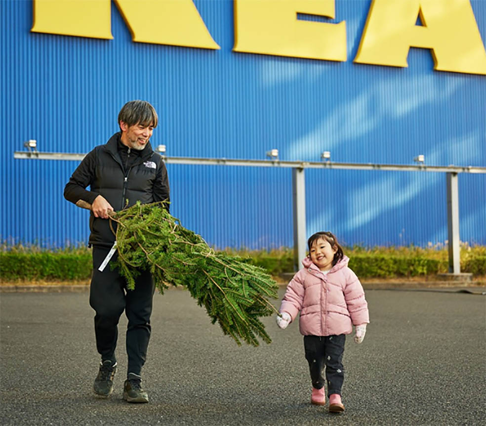 LifTe北欧の暮らし スウェーデン発祥のイケアが11月22日から販売を開始するクリスマスツリー用のモミの木