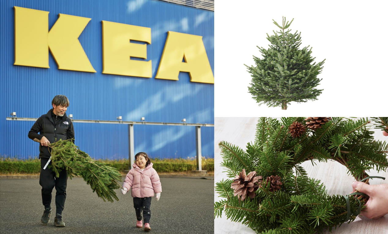 イケアで「本物のモミの木」が販売開始 | リースやスワッグにも