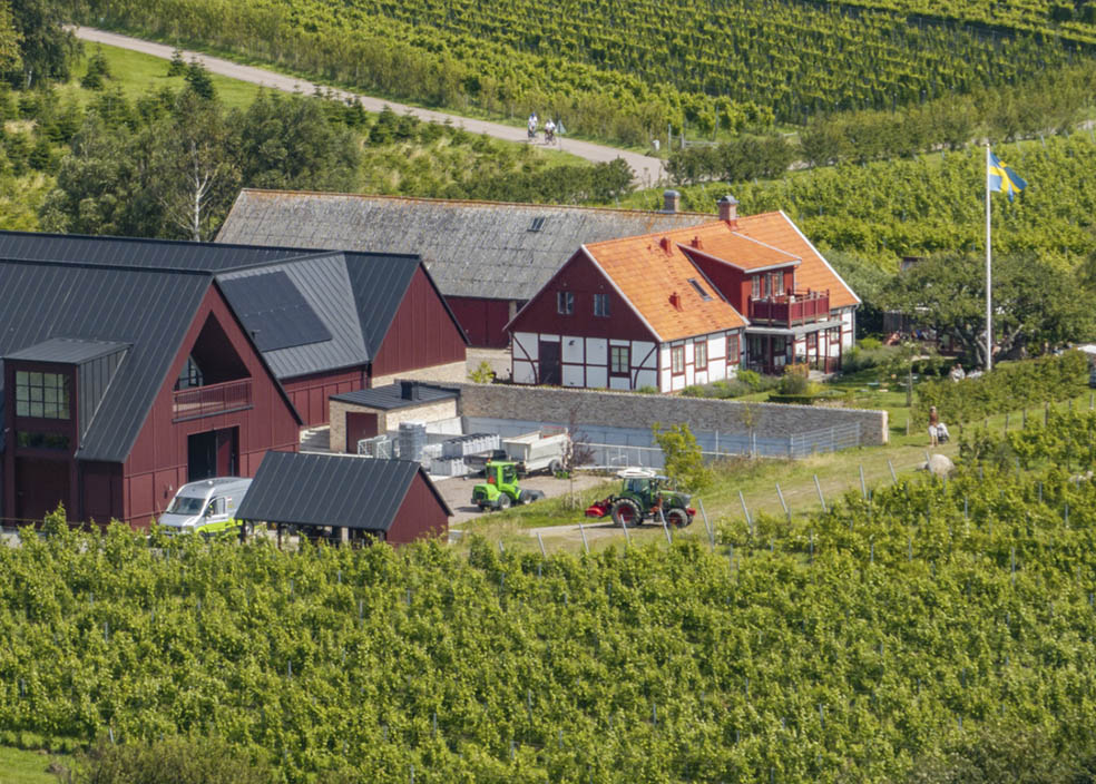 LifTe北欧の暮らし スウェーデンのストックホルムで開催されたノーベル賞晩餐会に提供されたことで注目されるスコーネ地方のワイナリーKullabergs Vingård（クラベリス・ヴィンゴード）