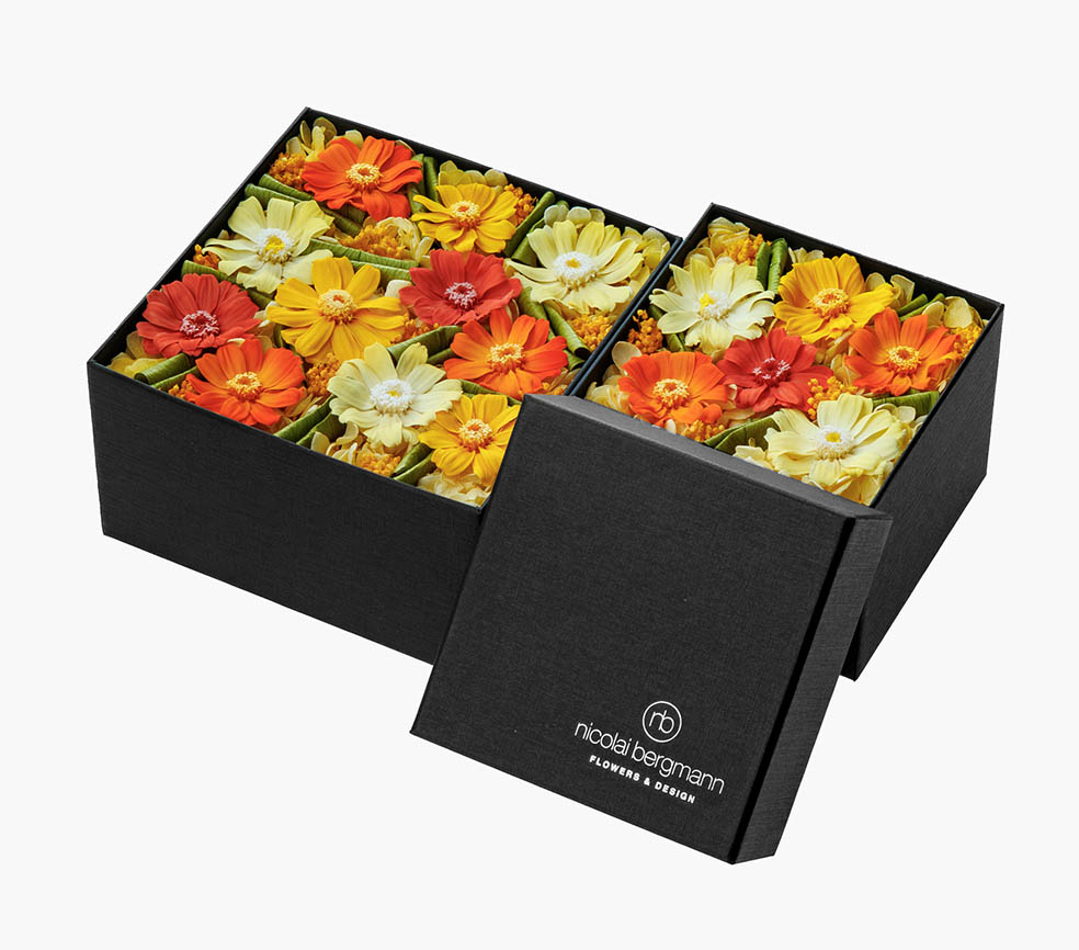 LifTe北欧の暮らし デンマーク出身のフラワーアーティスト ニコライ・バーグマンが手がけるスプリングコレクション2026のスプリング限定プリザーブドフラワーボックス「Sunny Zinnia(サニー ジニア)」