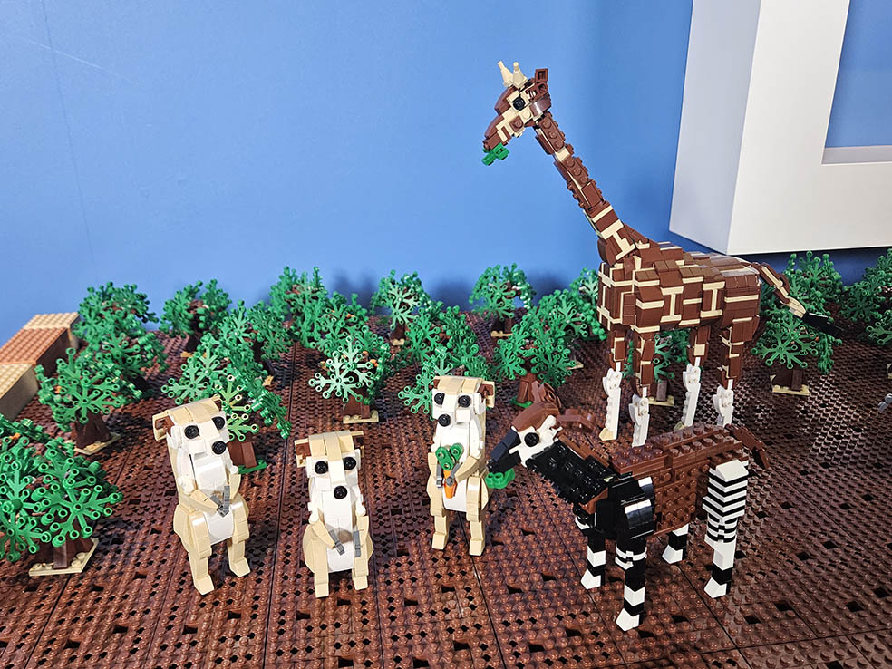 LifTe北欧の暮らし デンマーク発祥のレゴが運営するレゴランドディスカバリーセンター東京で開催中のよこはま動物園ズーラシアとのコラボイベント「レゴ®アニマルアドベンチャー」で展示されるキリン、ミーアキャット、オカピ