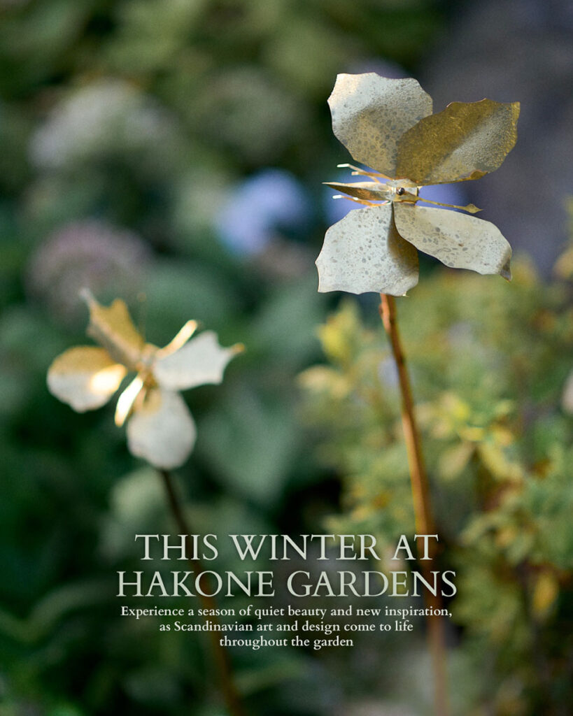 LifTe北欧の暮らし デンマーク出身のフラワーアーティスト ニコライ・バーグマンが手掛ける「ニコライ バーグマン 箱根 ガーデンズ」冬イベントのメインビジュアル