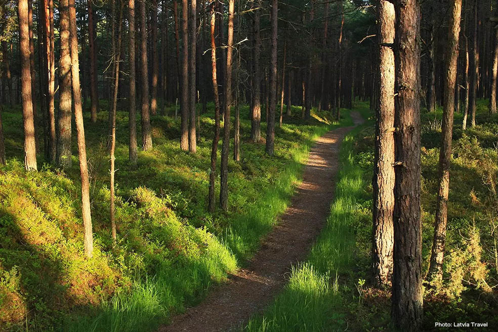 LifTE北欧の暮らし ラトビア政府観光局がお勧めする国立公園4選 スリーテレ国立公園(Slītere National Park)