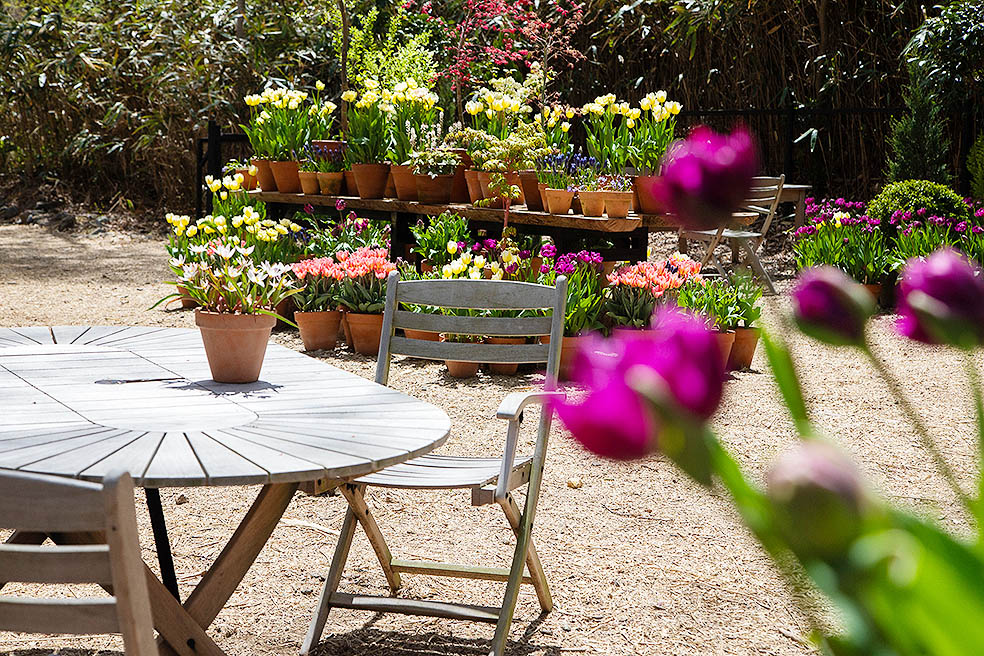 LifTe北欧の暮らし デンマーク出身のフラワーアーティスト ニコライ・バーグマンが手がける箱根にある「ニコライ バーグマン 箱根 ガーデンズ」2026年4月15日で4周年