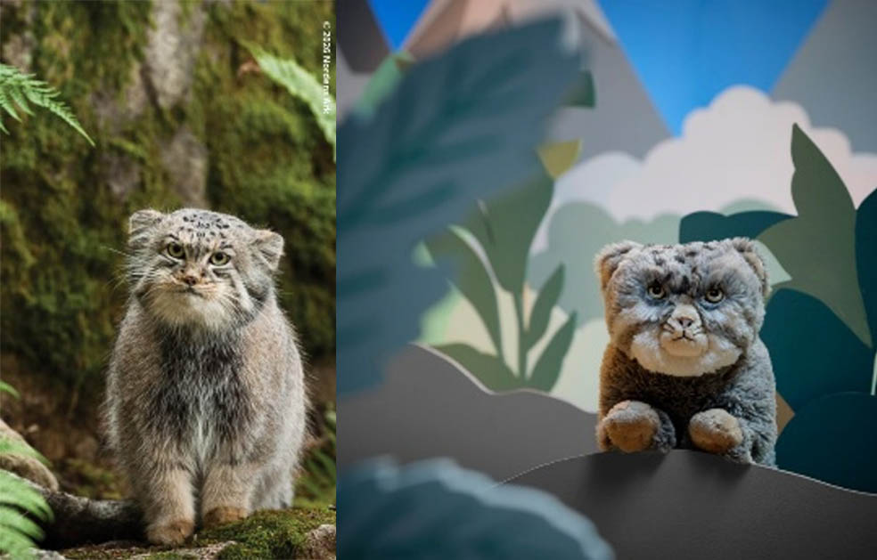 LifTe北欧の暮らし スウェーデン発祥のイケア(IKEA)からスウェーデンの野生動物保護センター「Nordens Ark(ノルデンス・アーク)」と共同開発し発売された新コレクション「ALPTALL/アルプタール コレクション」マヌルネコ