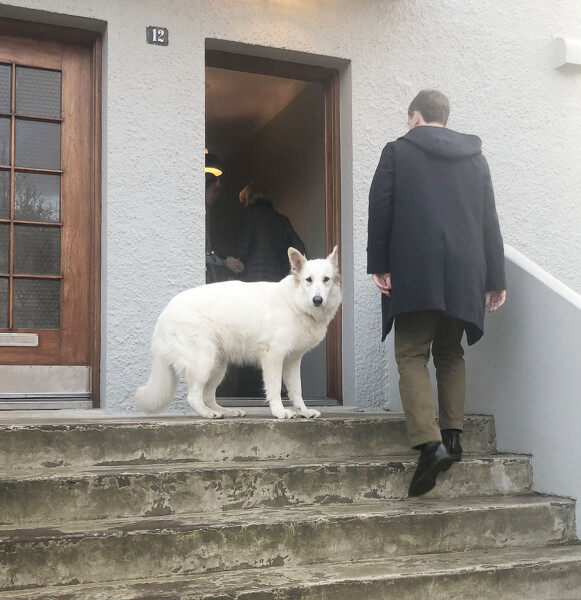 LifTe 北欧の暮らし レイキャビク アイスランド