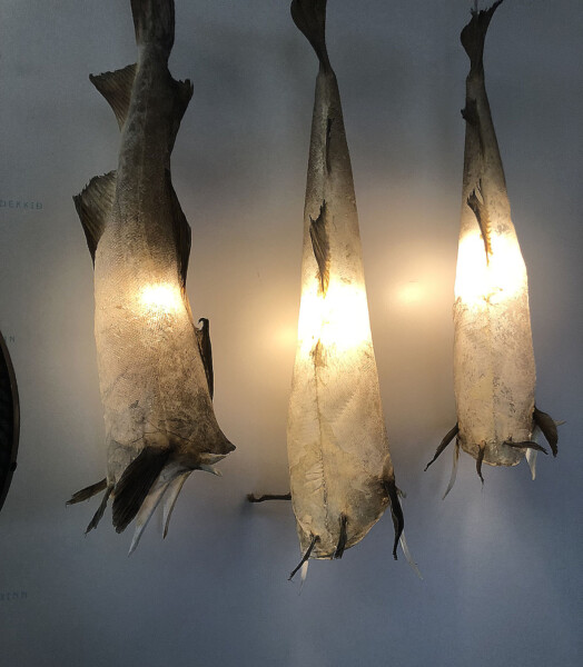 LifTe 北欧の暮らし アイスランド 鱈の皮 照明