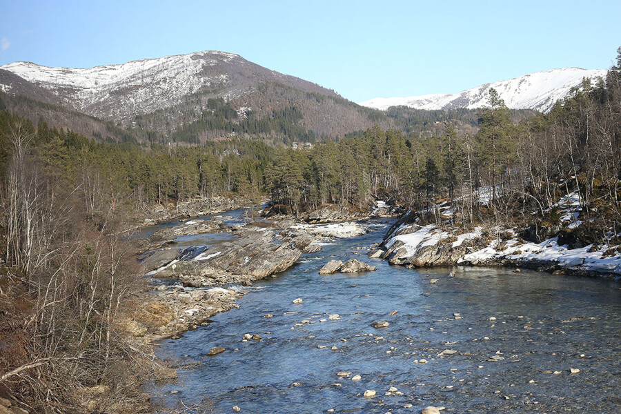 ベルゲン急行 ミュールダール 車窓 LifTe 北欧の暮らし