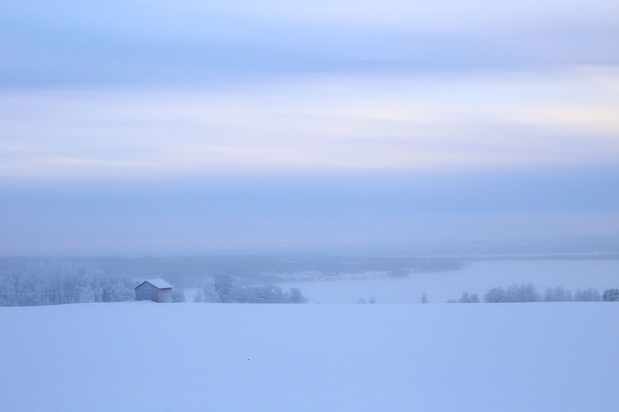 LifTe 北欧の暮らし スウェーデン フローソー