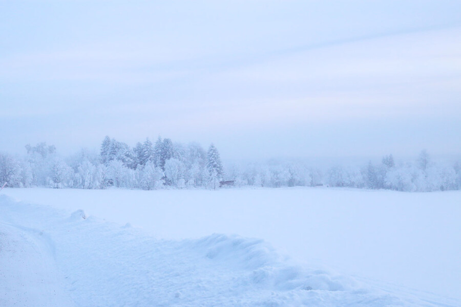 LifTe 北欧の暮らし 北欧の写真で涼をとる スウェーデン エステルスンド