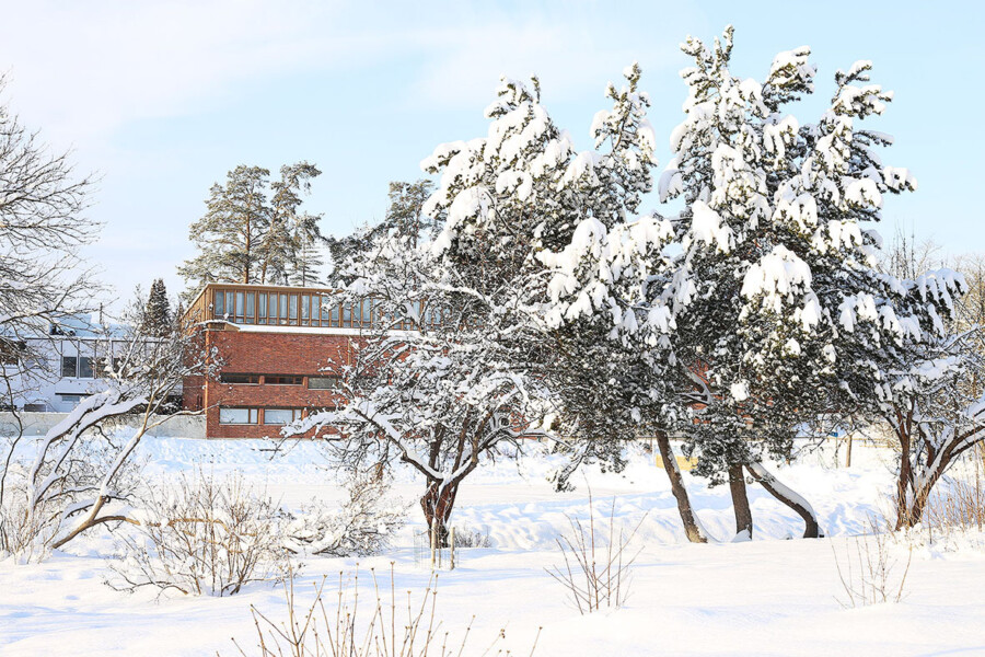 LifTe 北欧の暮らし 北欧の写真で涼をとる フィンランド ユヴァスキュラ